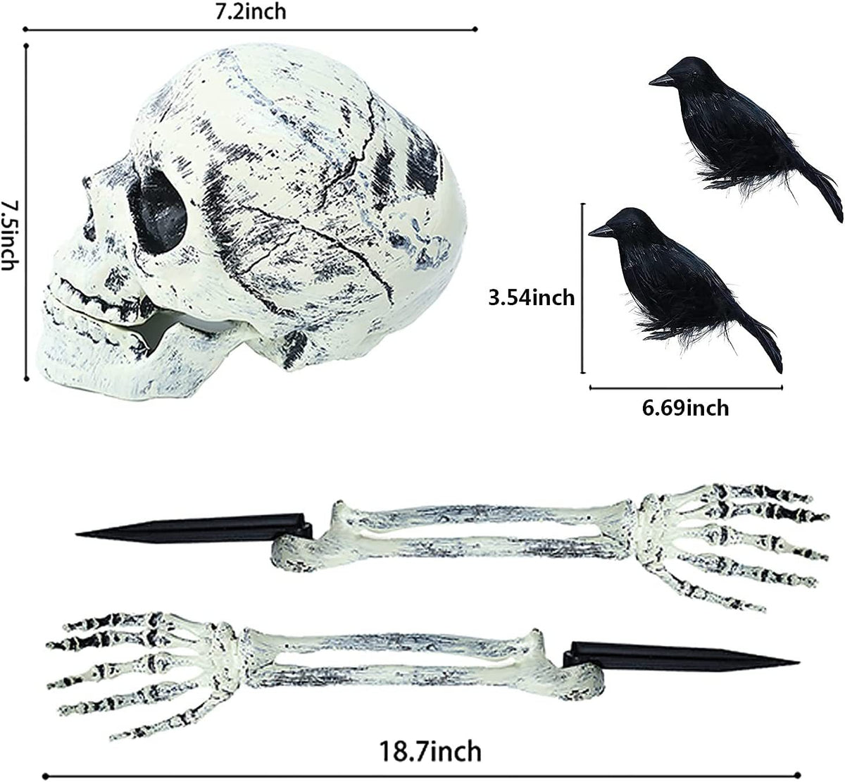 Skeleton and skull décor set piece with glow finish — product photo 16