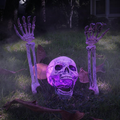 Glowing skull and skeleton decor set displayed in a yard at night